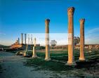 antiquite;romain;thuburbo;majus;forum;temple;