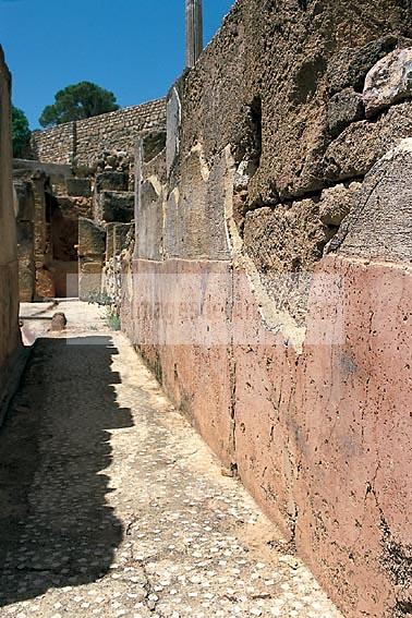 carthage;byrsa;punique;villa;antiquit