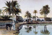 Les oasis en 1900