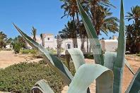 djerba;djerba;explore;ile;jerba;Muse;tourisme;architecture;musulmane;maison;menzel;musee;jardin;