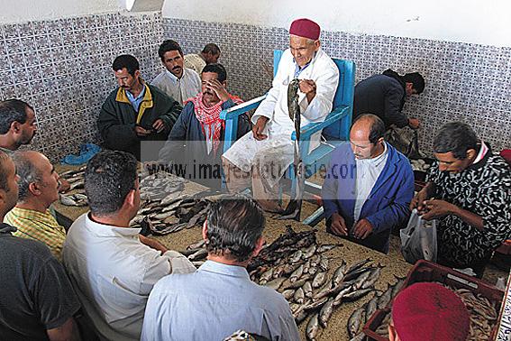 djerba;houmt;souk;ile;jerba;criee;march;marche;poisson;