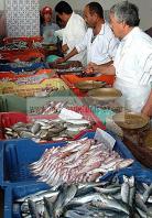 djerba;houmt;souk;ile;jerba;criee;march;marche;poisson;