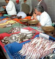 djerba;houmt;souk;ile;jerba;poisson;marche;march;