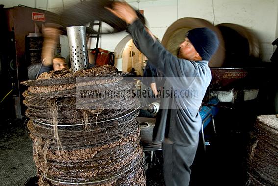 mellita;jerba;ile;djerba;tradition;agriculture;huile;huilerie;olive;