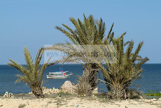 mellita;jerba;ile;djerba;barque;peche;pecherie;pecheur;bateau;