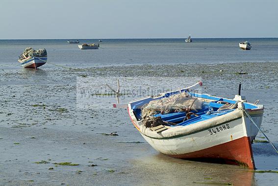 mellita;jerba;ile;djerba;barque;peche;pecherie;pecheur;bateau;