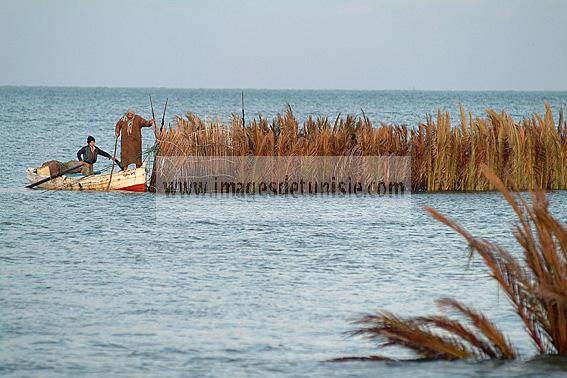 mellita;jerba;ile;djerba;barque;peche;pecherie;pecheur;bateau;