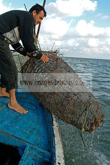 mellita;jerba;ile;djerba;barque;peche;pecherie;pecheur;bateau;