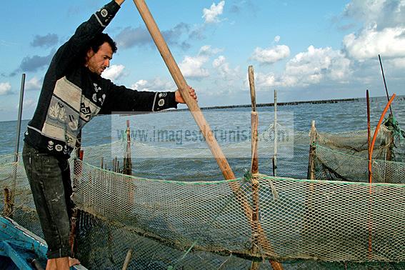 mellita;jerba;ile;djerba;barque;peche;pecherie;pecheur;bateau;