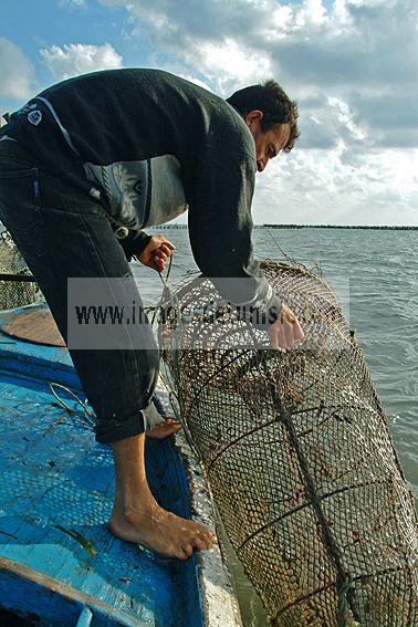 mellita;jerba;ile;djerba;barque;peche;pecherie;pecheur;bateau;