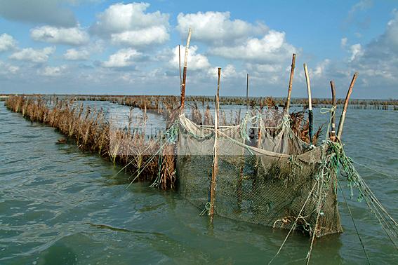 mellita;jerba;ile;djerba;barque;peche;pecherie;pecheur;bateau;