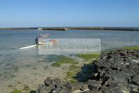 mellita;jerba;ile;djerba;barque;peche;pecherie;pecheur;bateau;