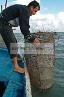 mellita;jerba;ile;djerba;barque;peche;pecherie;pecheur;bateau;