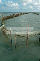 mellita;jerba;ile;djerba;barque;peche;pecherie;pecheur;bateau;