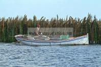 mellita;jerba;ile;djerba;barque;peche;pecherie;pecheur;bateau;