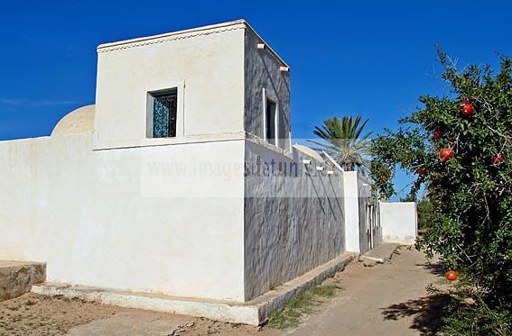 campagne;champs;djerba;ile;jerba;midoun;architecture;musulmane;maison;menzel;