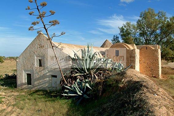 campagne;champs;djerba;ile;jerba;midoun;tissage;architecture;musulmane;atelier;