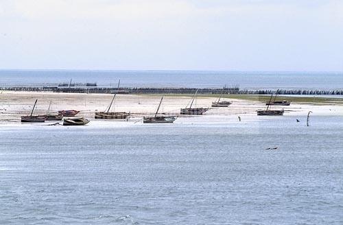 balneaire;barque;bateau;mer;peche;pecheur;plage