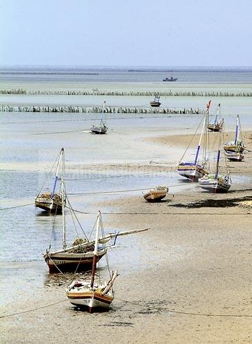 balneaire;barque;bateau;mer;peche;pecheur;plage