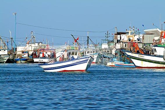 zarzis;mer;barque;bateau;port;peche;pecheur;industrie;