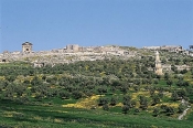 architecture-antique;antiquite;romain;dougga