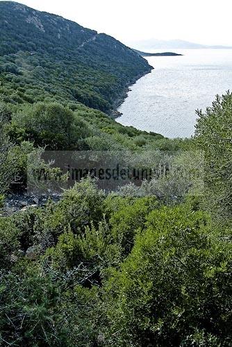 lac;parc;Reserve naturelle;ichkeul;MusÃ©e;observation;randonnee;ecomusee