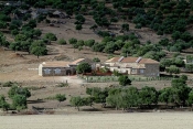 lac;parc;Reserve-naturelle;ichkeul;MusÃ©e;observation;randonnee;ecomusee