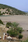lac;parc;Reserve-naturelle;ichkeul;MusÃ©e;observation;randonnee;ecomusee