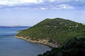 lac;parc;Reserve-naturelle;ichkeul;MusÃ©e;observation;randonnee;ecomusee