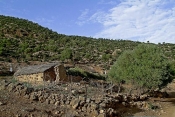 lac;parc;Reserve-naturelle;ichkeul;MusÃ©e;observation;randonnee;ecomusee