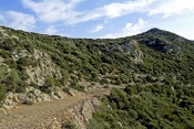 lac;parc;Reserve-naturelle;ichkeul;MusÃ©e;observation;randonnee;ecomusee