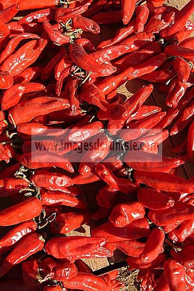 agriculture;campagne;pice;piment;piment;rouge;harrissa;paysan;