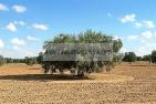 agriculture;champs;olivier;campagne;