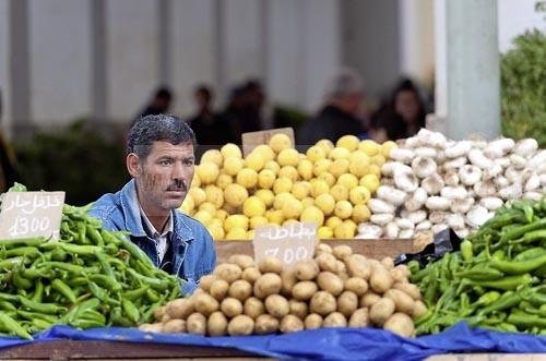 marché;légumes;poissons;marché central;fromages;olives;vendeur