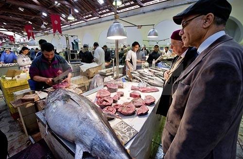 marché;légumes;poissons;marché central;fromages;olives;vendeur