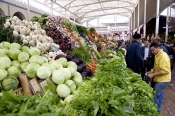 marchÃ©;lÃ©gumes;poissons;marchÃ©-central;fromages;olives;vendeur