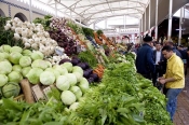 marché;légumes;poissons;marché-central;fromages;olives;vendeur