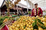 marché;légumes;poissons;marché-central;fromages;olives;vendeur