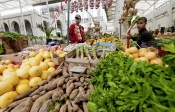 marché;légumes;poissons;marché-central;fromages;olives;vendeur