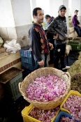 marché;légumes;poissons;marché-central;fromages;olives;vendeur