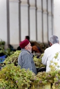 marché;légumes;poissons;marché-central;fromages;olives;vendeur