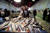 marché;légumes;poissons;marché-central;fromages;olives;vendeur