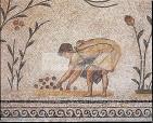musee;bardo;romain;antiquite;mosaique;cueillette;olive;olivier;