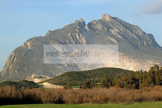 campagne;champs;jebel;montagne;ressas;