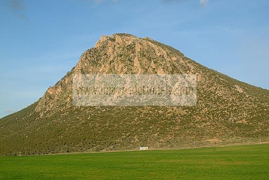 campagne;champs;jebel;montagne;ressas;