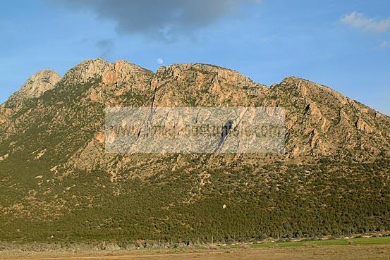 campagne;champs;jebel;montagne;ressas;