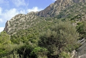 montagne;jebel;parc;zaghouan