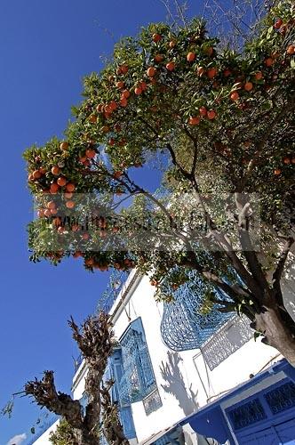 Sidi Bou Saïd