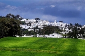 Sidi-Bou-Saïd