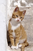 Sidi-Bou-SaÃ¯d